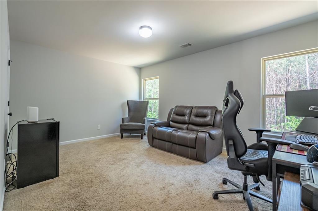 120 Park Village Drive, Canton, Georgia image 17