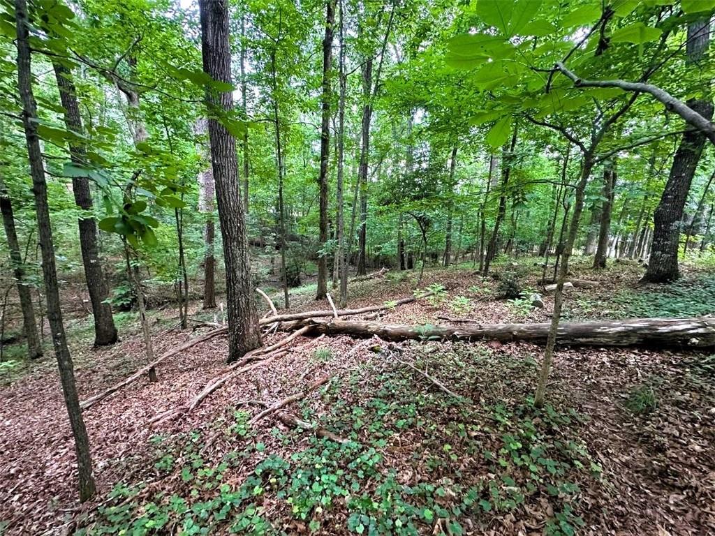 00 Thornwood Drive