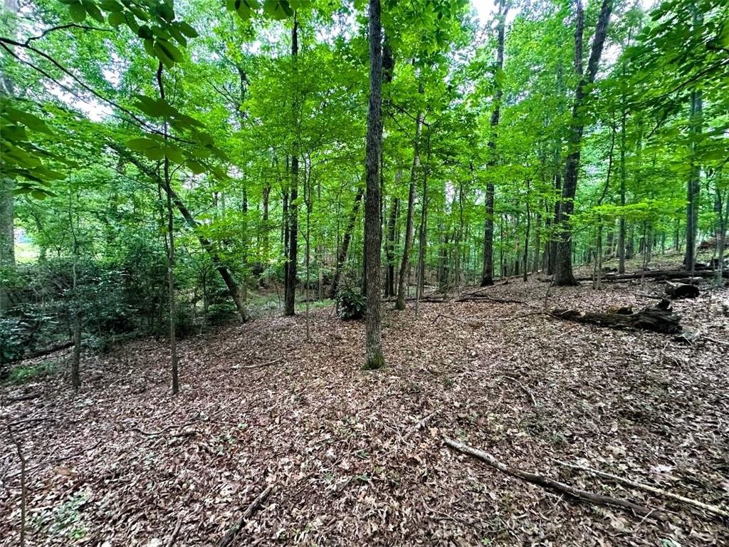 00 Thornwood Drive