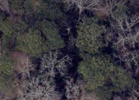 Vacant Land For Sale - Jernigan Drive<br/> Fulton County, Atlanta, GA 30315