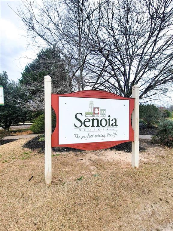230 Southridge, Senoia, Georgia image 47