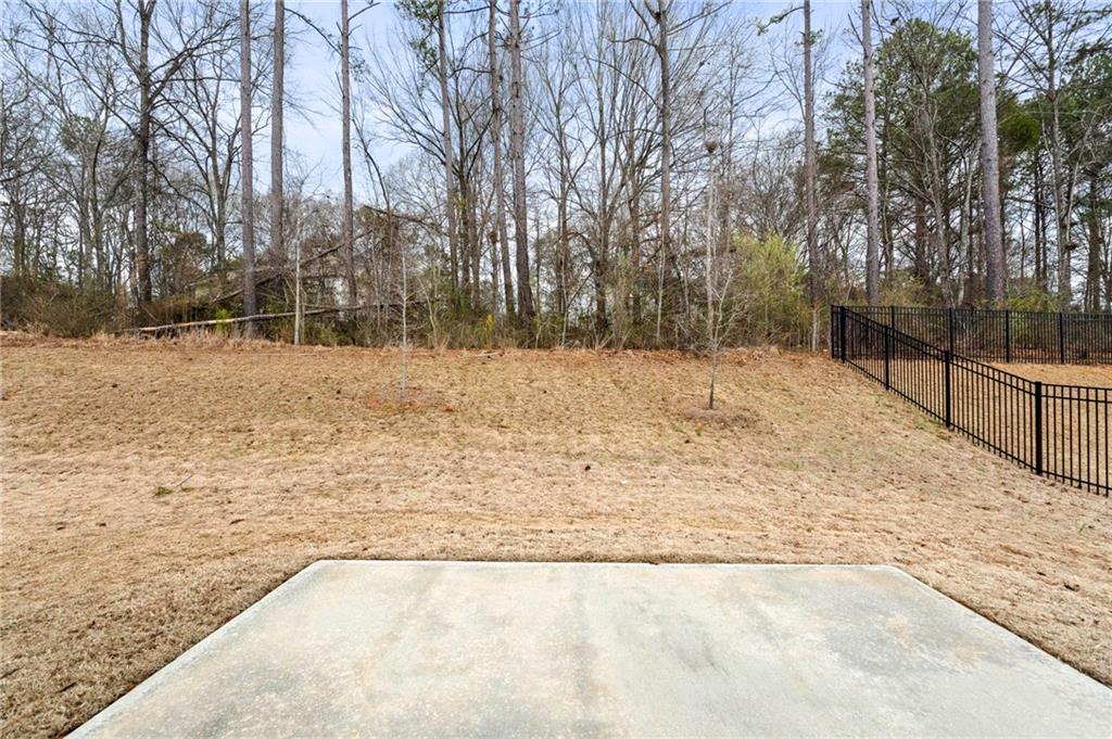 230 Southridge, Senoia, Georgia image 42