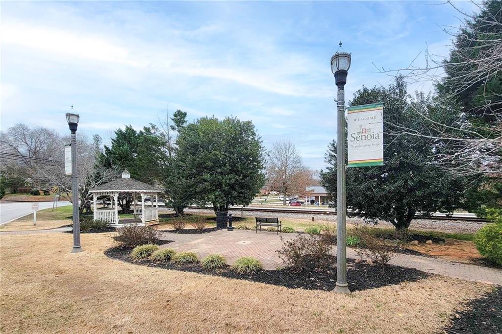 230 Southridge, Senoia, Georgia image 48