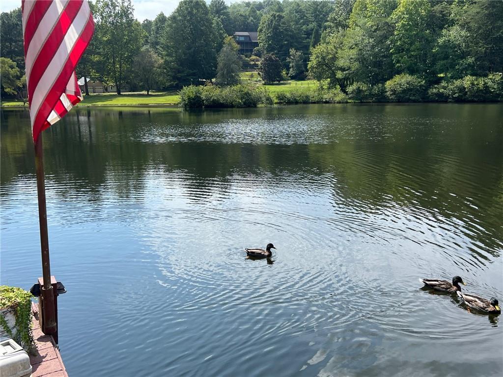 454 High Country Drive