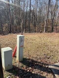 225 Standing Oak Place