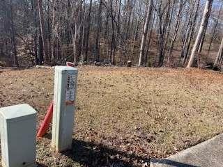 225 Standing Oak Place