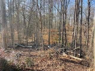 225 Standing Oak Place