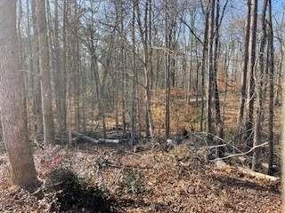 225 Standing Oak Place