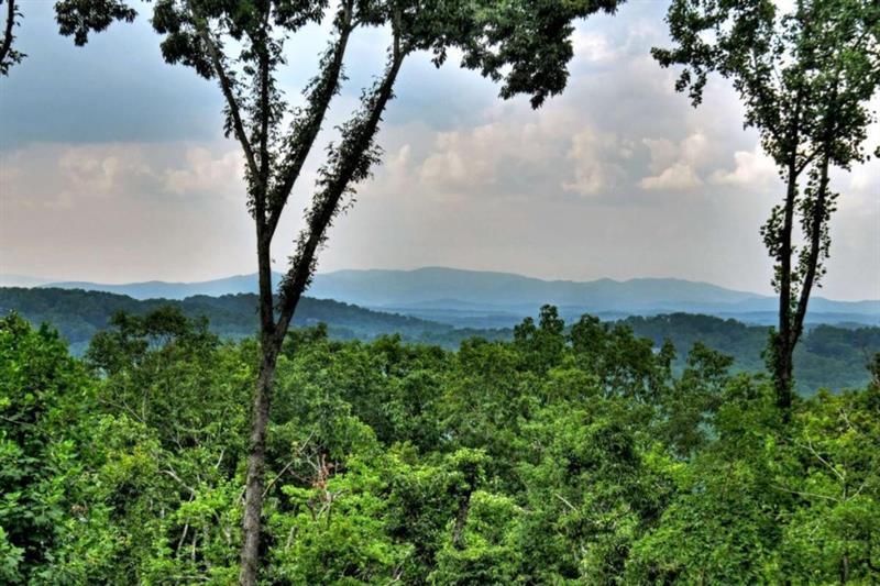 415 Green Ridge Trail