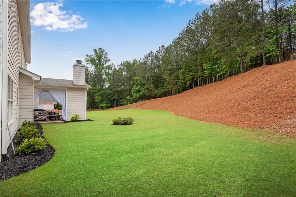 3617 Castoff Court, Gainesville, Georgia image 49