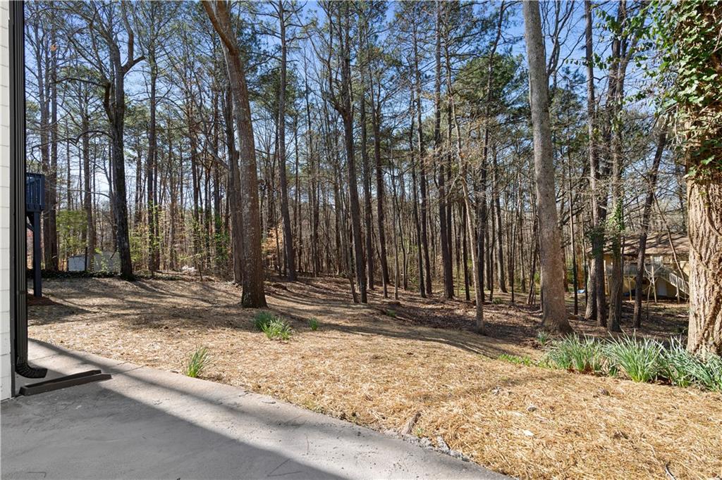 2735 Varlet Court, Snellville, Georgia image 42