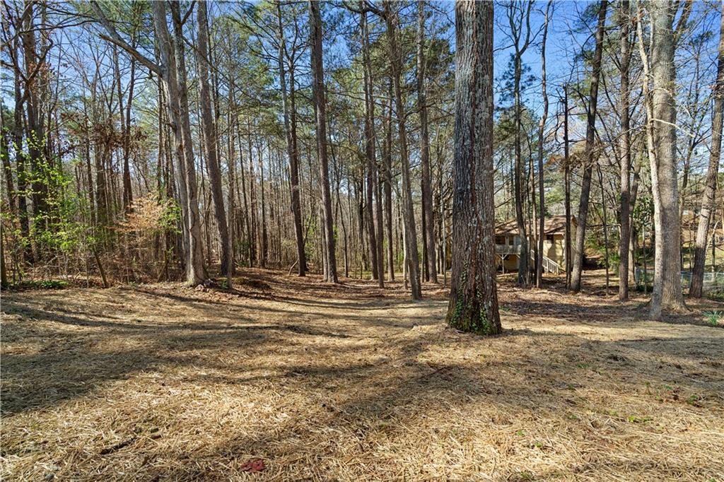 2735 Varlet Court, Snellville, Georgia image 40