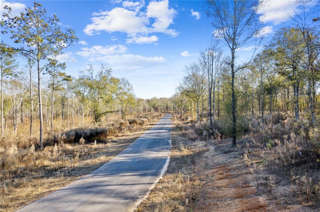 8 Joseph Lane, Hartwell, Georgia image 49