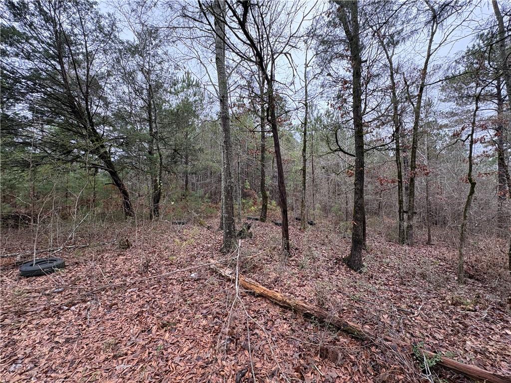 2239 Pegasus Parkway