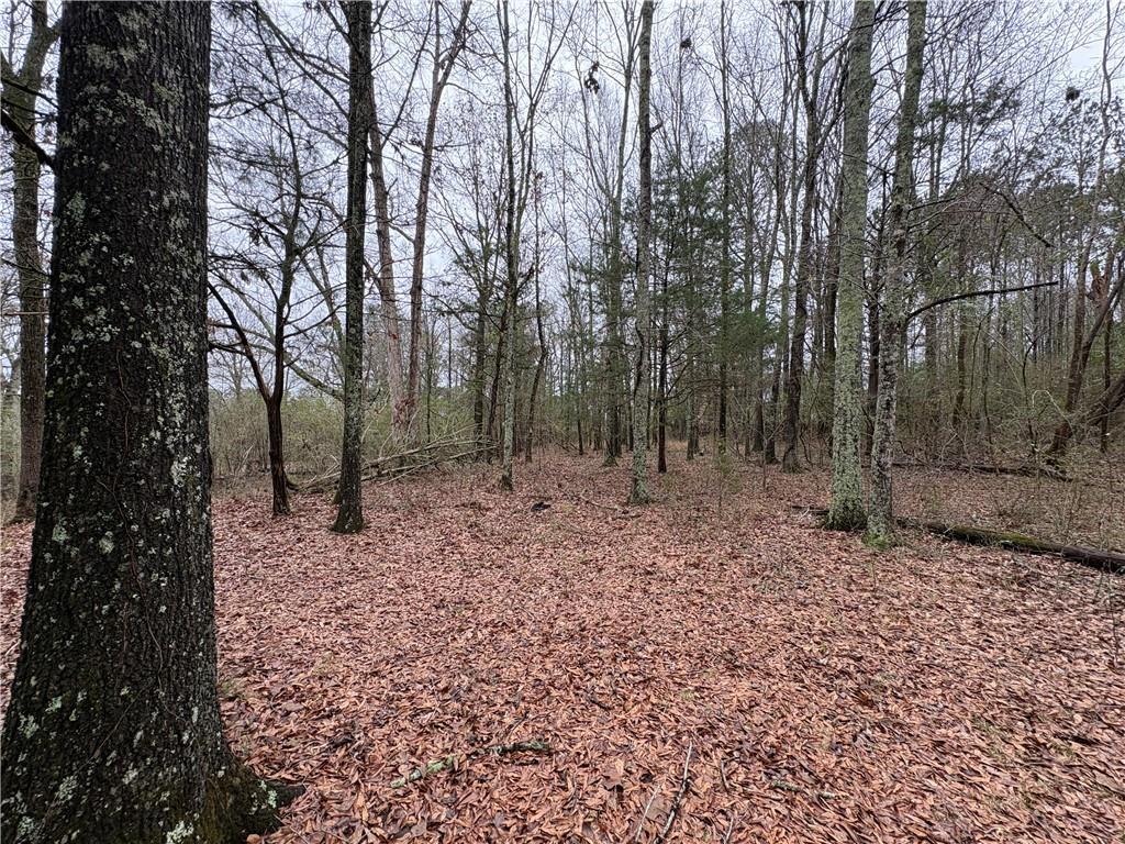 2239 Pegasus Parkway