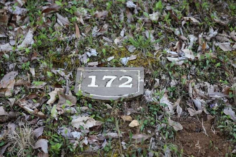 172 Trailwood Drive