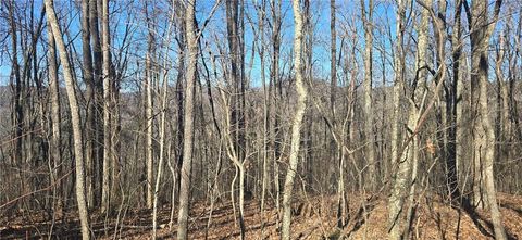 00001 Big Oak Drive Jasper GA 30143