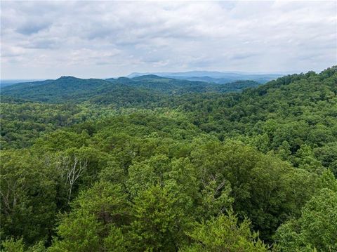 Vacant Land For Sale - 1405 Foxhound Trail<br/> Ranger, GA 30734