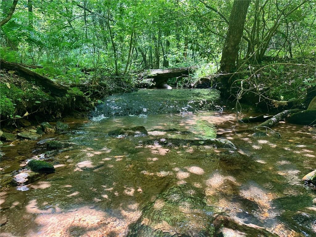 CREEK FRONT! Good acreage and beautiful cascading creek! Country roads take me home. Come live the American dream of property ownership. As the world gets crazier opportunities like this get gobbled up. In an area of similar sized Ranchettes, this 13.6-/+acres is ready for all of your land dreams. Are you wanting a pond? Two noisy creeks converge here making just the right spot for that to happen. Do you want to build a large slab barndo or shop footprint? There is plenty of room for that and another home. Per regulations two homes can be built on this lot. No mobiles. Power and fiber available at the lot!
We have cleaned up the trails here for easy access by Polaris. There’s beautiful spots to enjoy by the creek just off the trail. The homesites are private and hidden but have easy access by the existing driveway. Additional acreage opportunities not listed online are available. From 5-14-/+acres. Do you want something with the trees gone, we have that too. Mountain Views, creek front, easy laying flat land. The topography is gentle on everything, the creek front and sound is amazing, The wildlife is endless. Privacy & quiet simplicity is king! Time slows down here & things seem a lot simpler. Welcome to the country, dark night skies, fireflies, a cool mountain breeze. This is good land ready for someone to love it.
Minutes to downtown Dahlonega or 400. Highly sought after location for wanting a little more space. We offer Owner Financing to help you grab your land and being able to work out the details on selling your home or getting construction financing. New road name, will not map! Call today for your private tour, we bring the Polaris so you don’t have to walk in this heat! Broker/Owner.