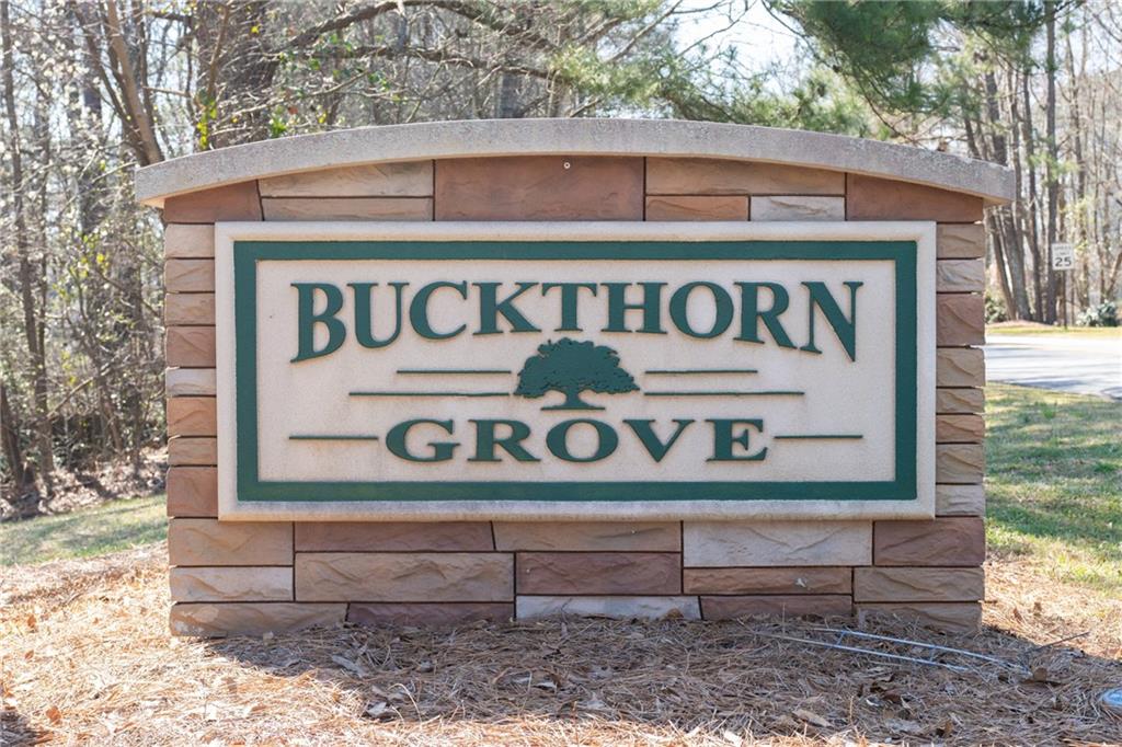 10 Buckthorne Drive, Newnan, Georgia image 21