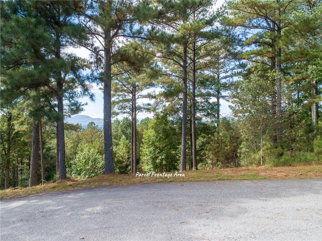 Lot 14 Mile High Lane