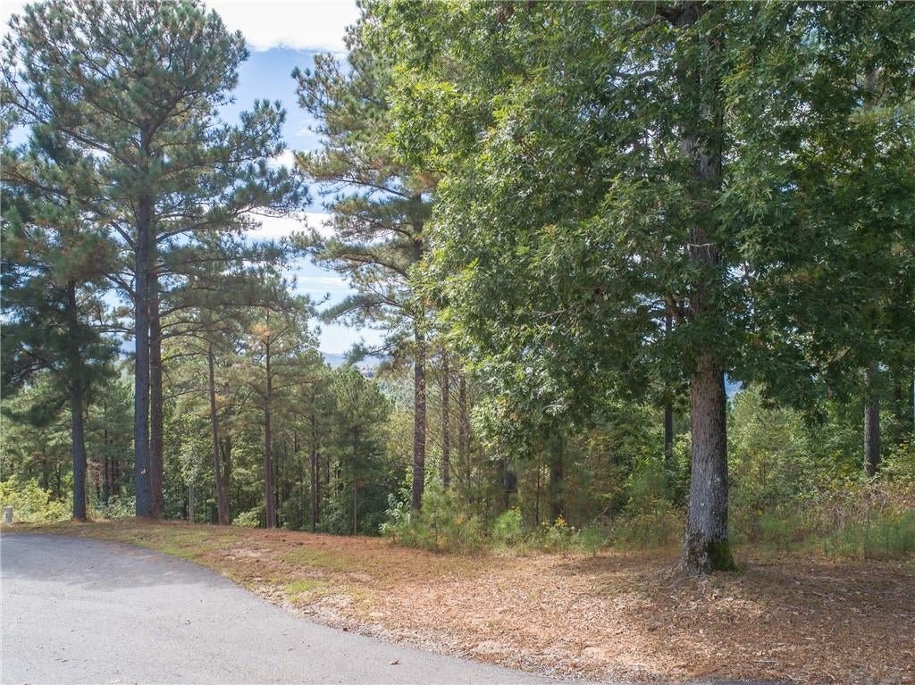 Lot 14 Mile High Lane