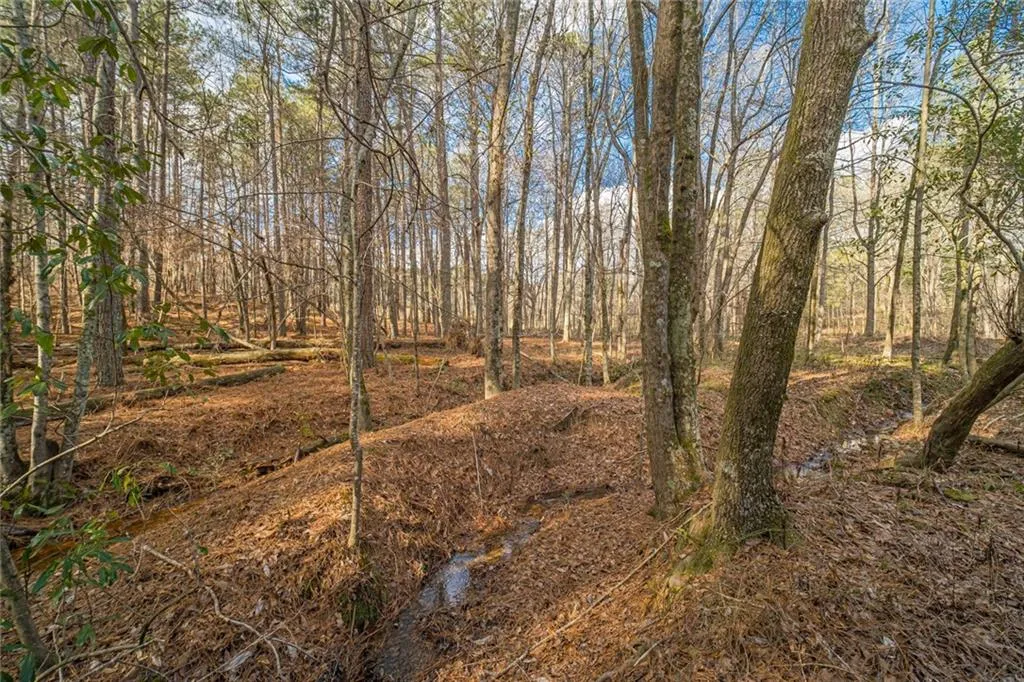 Lawrenceville, Georgia 30045, United States, 3 Bedrooms Bedrooms, ,4 BathroomsBathrooms,Residential,Active,75578