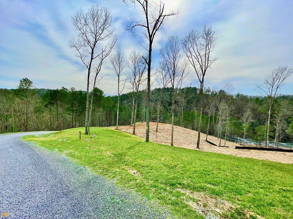 241 High River Crossing, Ellijay, Georgia image 4