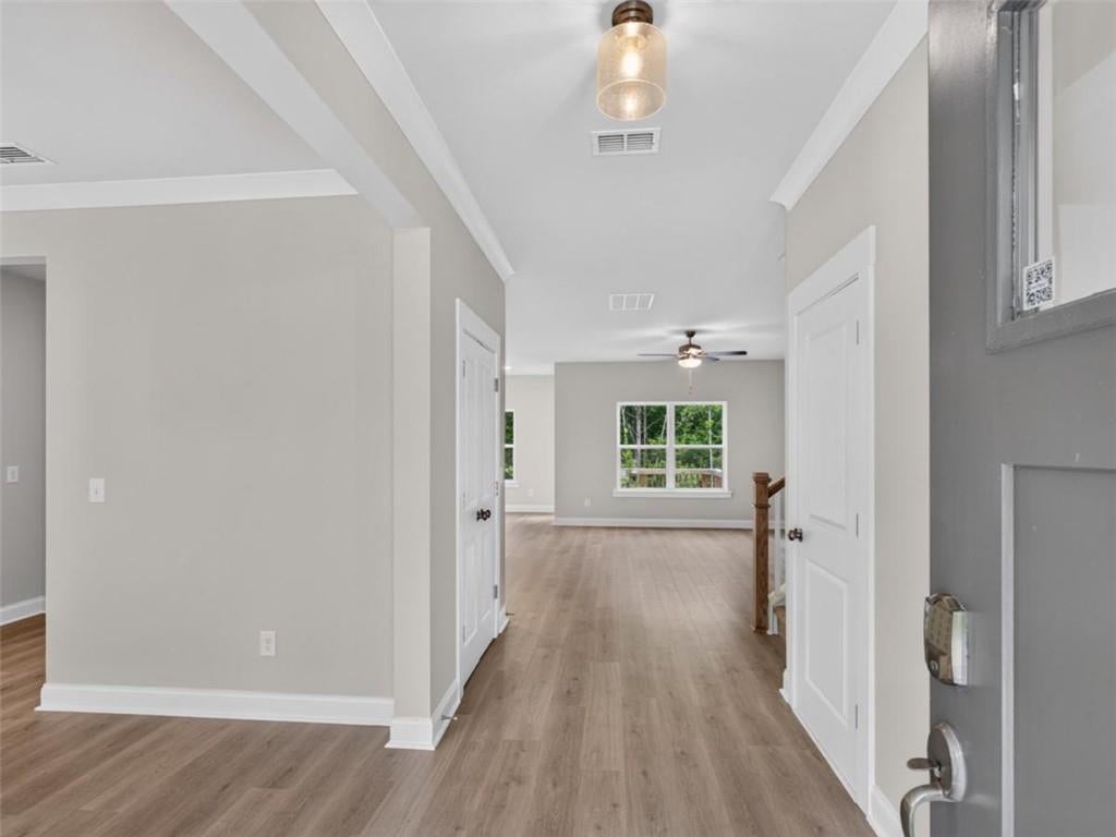 517 Principal Meridian Drive