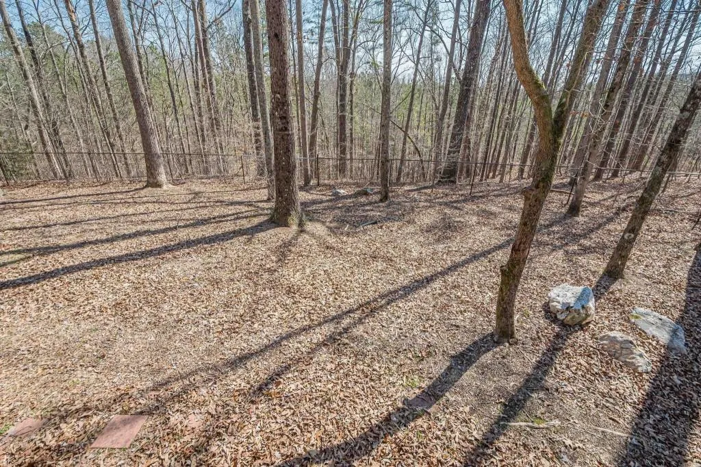 Ball Ground, Georgia 30107, United States, 3 Bedrooms Bedrooms, ,2 BathroomsBathrooms,Residential,Active,93116