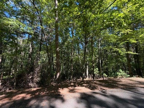 Vacant Land For Sale - 305 Seneca Drive<br/> Gilmer County, Ellijay, GA 30540
