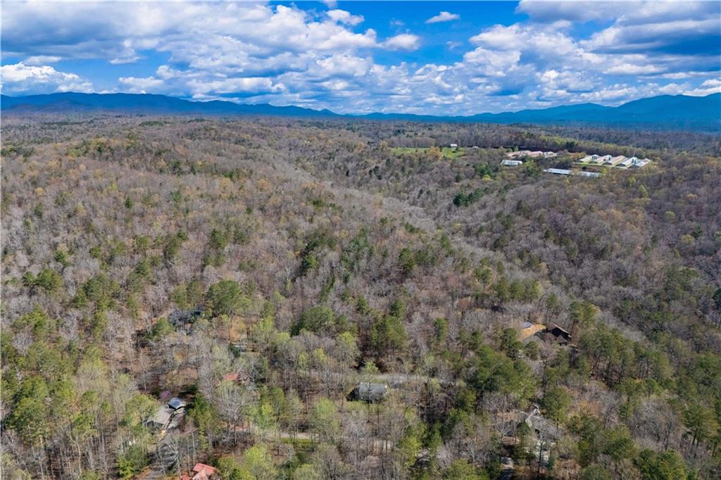 229 Darien Way, Ellijay, Georgia image 24