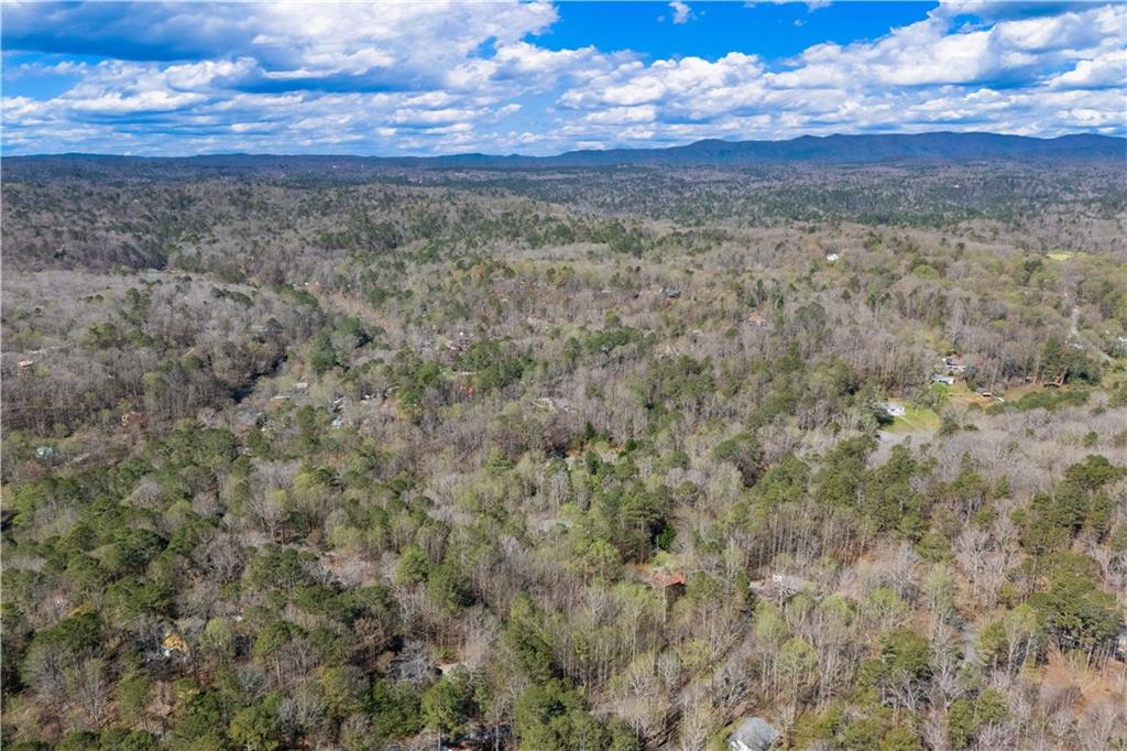 229 Darien Way, Ellijay, Georgia image 26