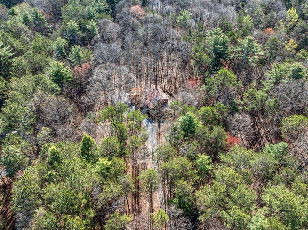 335 Misty Hollow Road, Ellijay, Georgia image 23