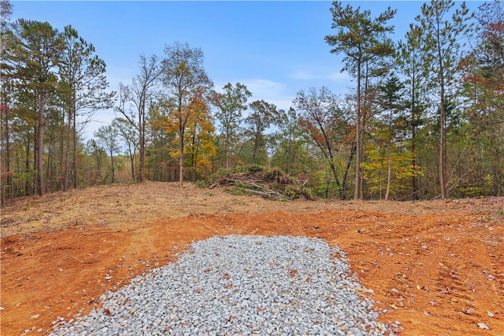 Lot 2 Mill Street, Elberton, Georgia image 7