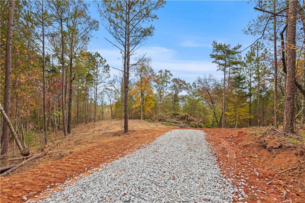 Lot 2 Mill Street, Elberton, Georgia image 6