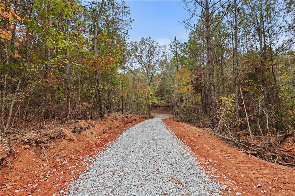 Lot 2 Mill Street, Elberton, Georgia image 17