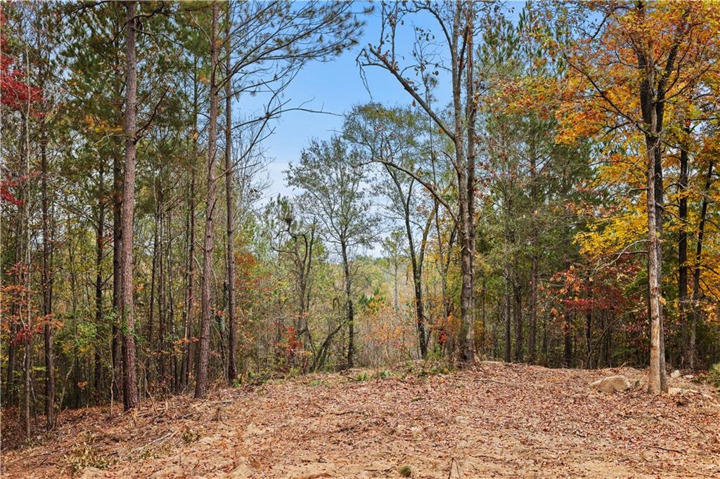 Lot 2 Mill Street, Elberton, Georgia image 8