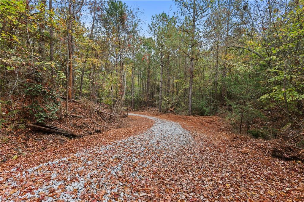 Lot 2 Mill Street, Elberton, Georgia image 16