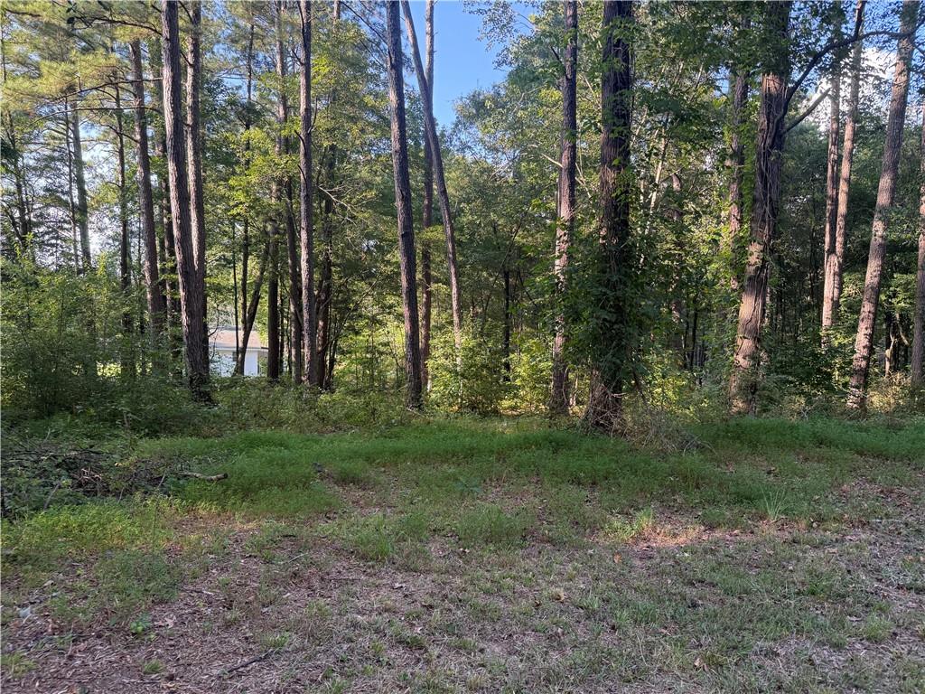 88 Grogan Hill Road SE