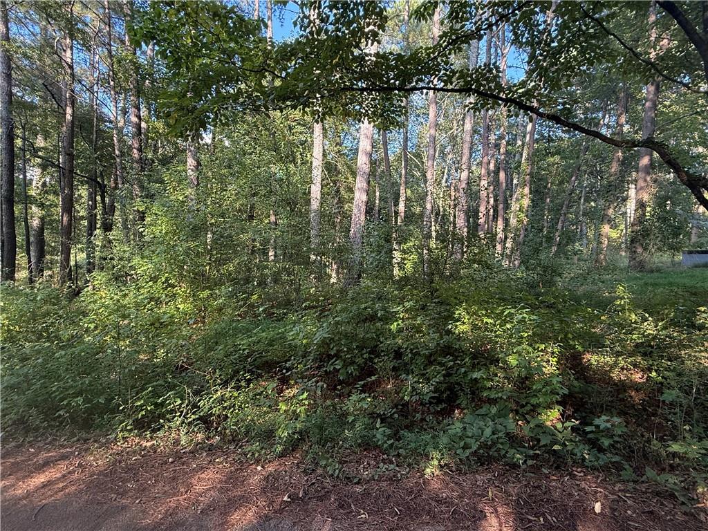 88 Grogan Hill Road SE