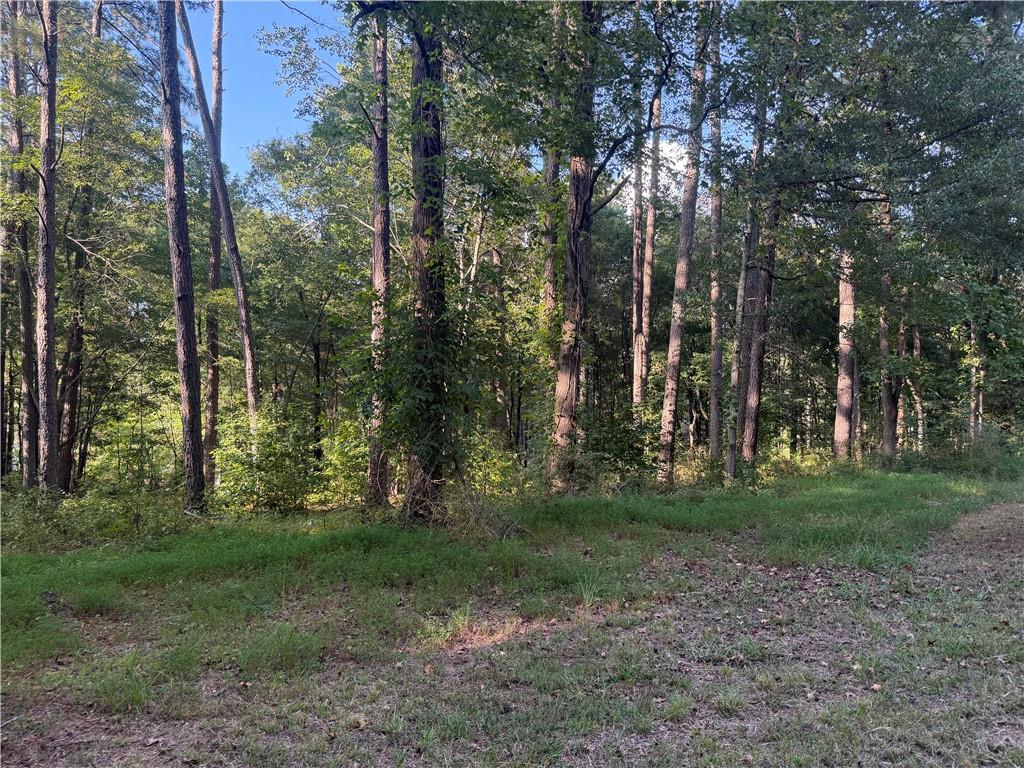 88 Grogan Hill Road SE
