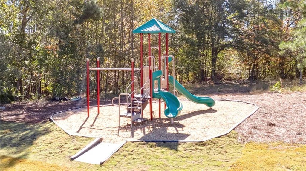 379 Great Salt Lane, Hoschton, Georgia image 31