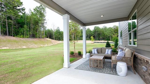 379 Great Salt Lane, Hoschton, Georgia image 17