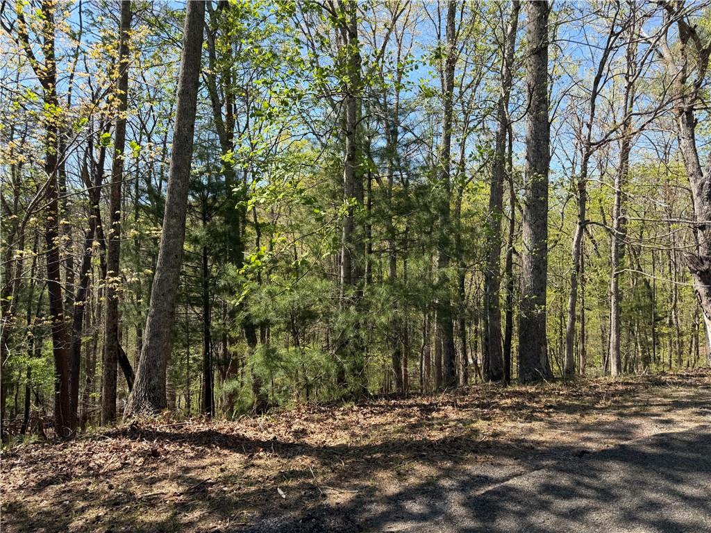 812 Horse Cove Court