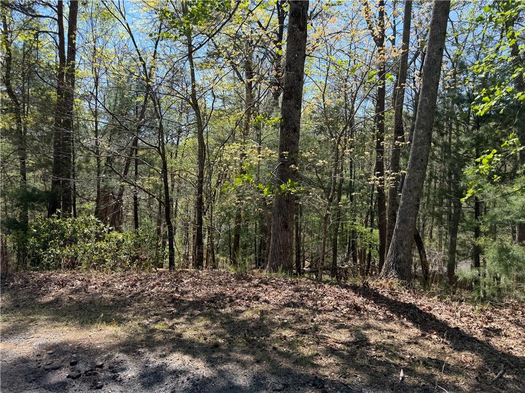 812 Horse Cove Court