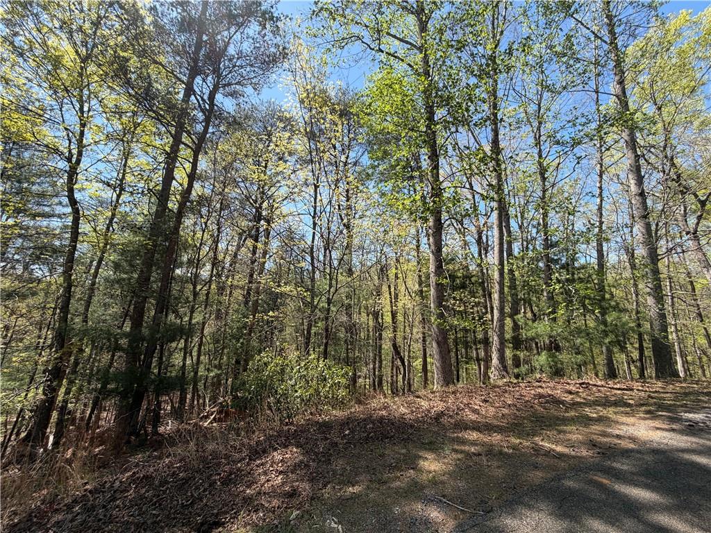 812 Horse Cove Court