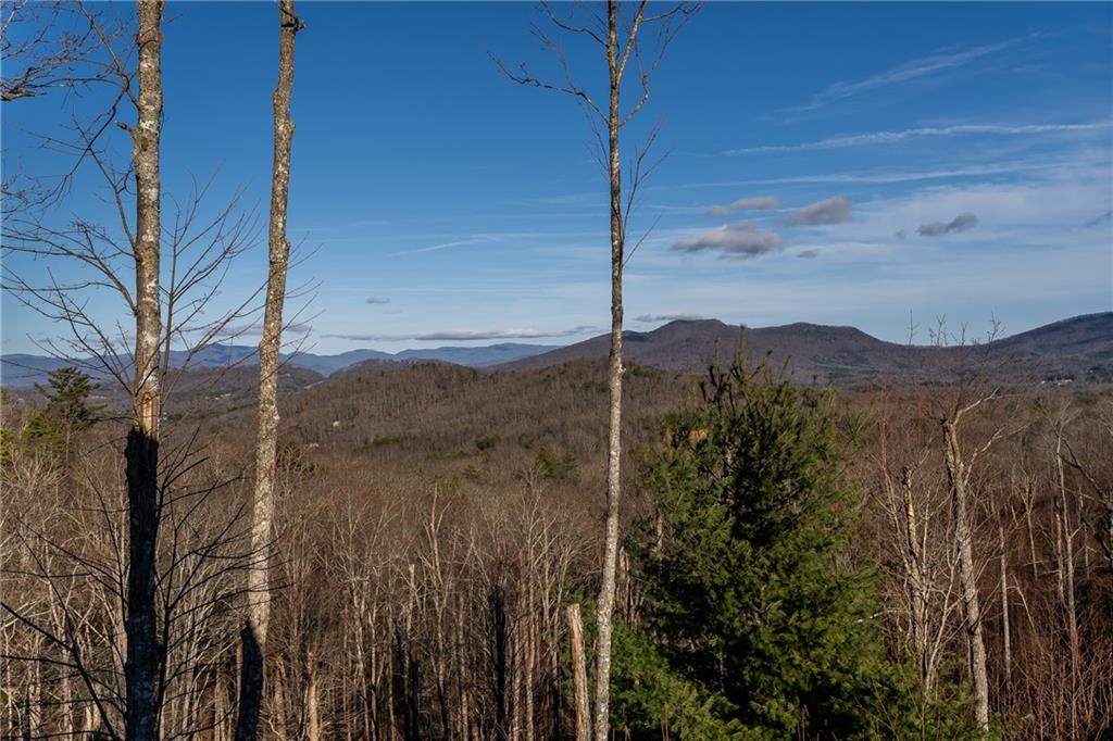 504 Ivy Log Heights Road, Young Harris, Georgia image 34