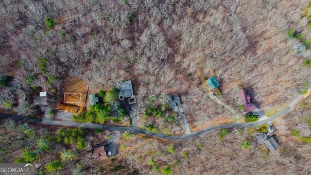 32 AC- Oak Hill Road, Ellijay, Georgia image 28