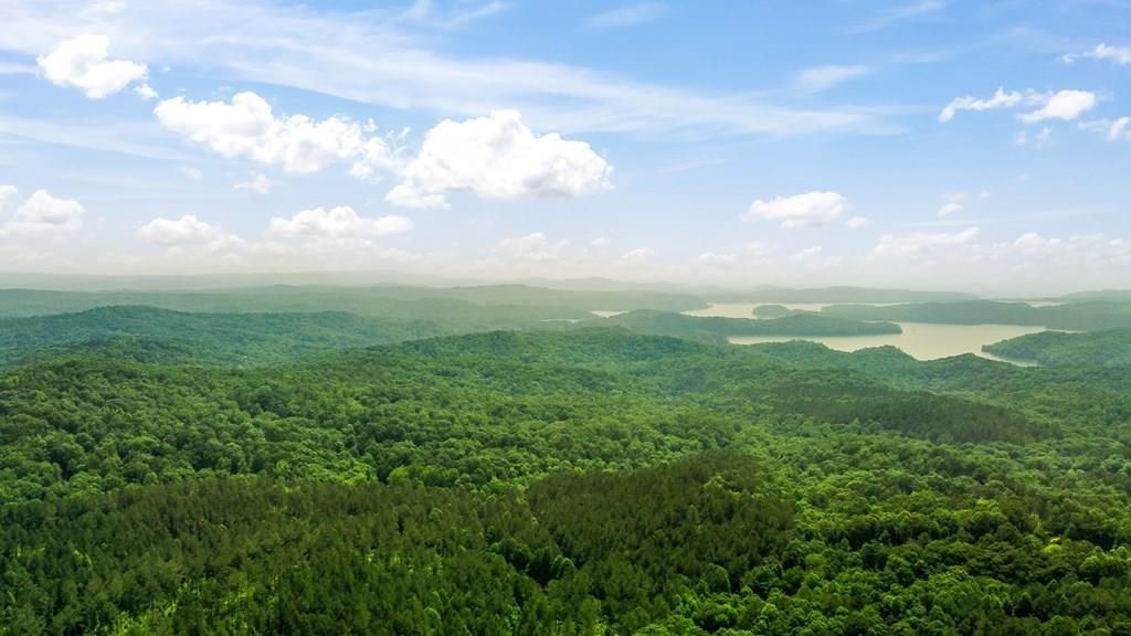 Unrestricted 31.2325 Acres with Power, LONG RANGE MOUNTAIN Views, and Multiple Building Sites - No HOA - Prime Location in Ellijay, GA
Don't miss this rare opportunity to own 31.2325 pristine acres in the sought-after Oak Hill area of Ellijay, GA. Located directly to the left of 1207 Oak Hill Road, Ellijay, GA 30540, this exceptional property offers a mix of privacy, accessibility, and panoramic views—ideal for a private estate, family compound, or development.
This unrestricted land with no HOA features power available at the road, excellent cell service, and multiple level to gently rolling building sites spread across two combined parcels: 26.19 acres from parcel 3024A 003 and 5.81 acres from parcel 3024 011Q, totaling approximately 32 acres. The property boasts long-range mountain views of both Fort Mountain and Grassy Mountain from various vantage points. It is located off a quiet county road, with all-paved access, yet less than 15 minutes to downtown Ellijay for dining, shopping, and recreation.
The land has already been strategically cleared in key areas to open up the views, while maintaining a natural buffer of beautiful mature hardwood trees. Internal trails wind through the property for hiking, ATVs, or future driveway placements. There's also a small creek on the back left corner of the lot, adding to the serene natural setting. With ample road frontage and utilities nearby, accessibility is simple—just add a well and septic to begin building. Cell phone service is strong, and power is readily available at the road.
This is a truly rare opportunity to enjoy peaceful mountain living with modern convenience and no restrictions.
Driving Directions: From Walmart in Ellijay, take Hwy 515 South for 1.6 miles. Turn right on Hwy 382. At the roundabout, take the 2nd exit to stay on 382 and travel 5.3 miles. Turn right on Oak Hill Road. In 1.2 miles, the destination will be on the left, directly next to 1207 Oak Hill Road (new construction home). Sign in place. Use LandGlide to verify parcel lines and location.
Coordinates for navigation: Map GPS to 1207 Oak Hill Road, Ellijay, GA 30540 — land for sale is immediately to the left of this address.